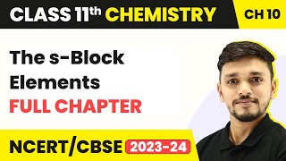 The s-Block Elements - Full Chapter Explanation and NCERT Solutions | Class 11 Chemistry Chapter 10