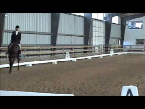 Ed - FVSA Mini BN Dressage - 08-02-09