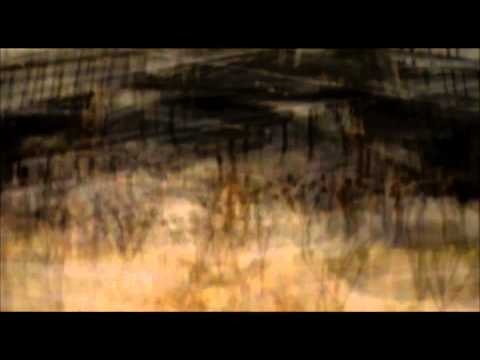 After Harmony Korine