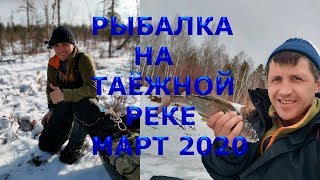 Отчет о рыбалка в сибирского на хариуса