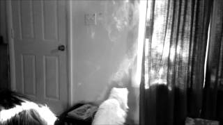 Melon Yellow - Slowdive ~ Slow smoke