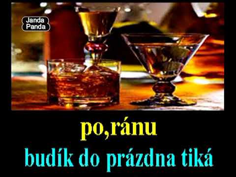 Co jsem si vzal - Vladimír Mišík