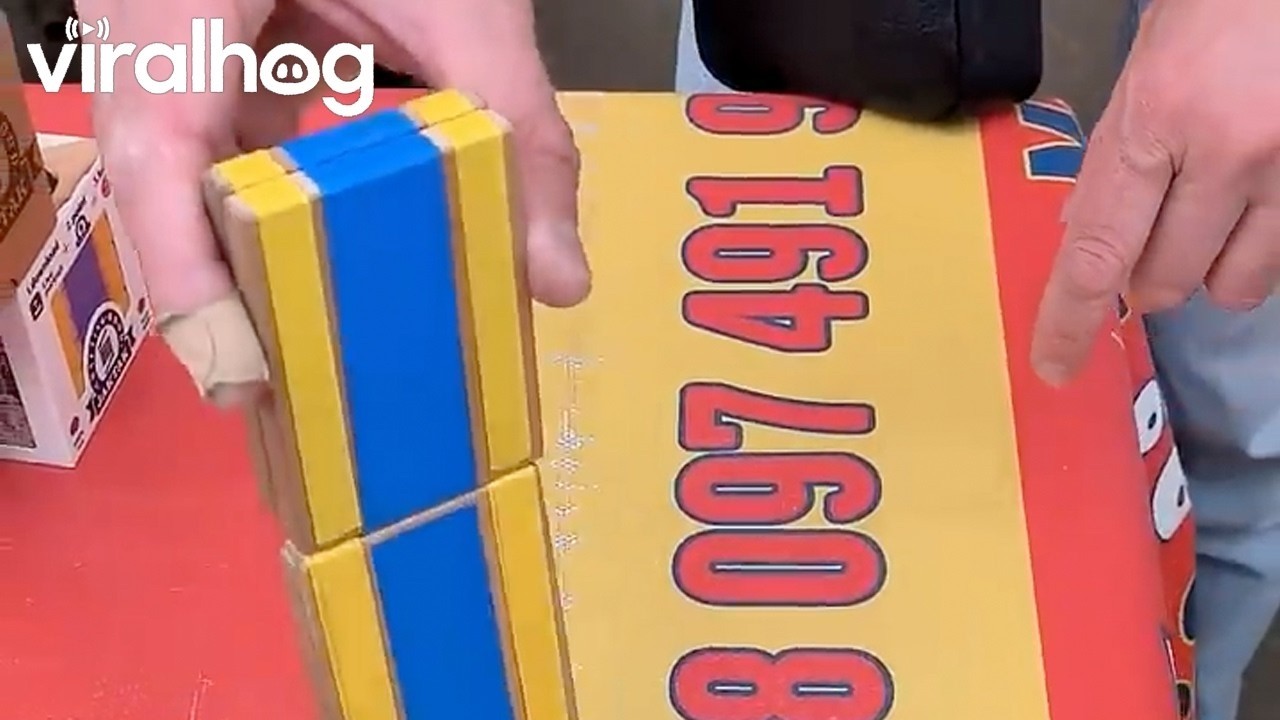 Man Performs a Magic Trick With a Jacob's Ladder || ViralHog