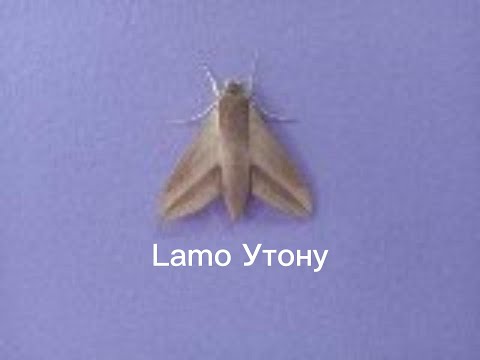 LAMO-УТОНУ....каждый ошибается и дело не в привычке у каждого дрова но не у каждого есть спички,