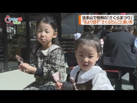 YouTube Video 法多山尊永寺で「さくらまつり」　春限定の厄除け団子「さくらだんご」に長い行列が　静岡・袋井市