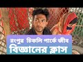 রংপুরের চিকলি পার্কে ঝোপের ঝাড়ে চলছ�