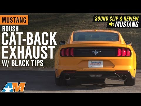 2015-2019 Mustang EcoBoost Roush Cat-Back Exhaust w/ Black Tips Sound Clip & Review