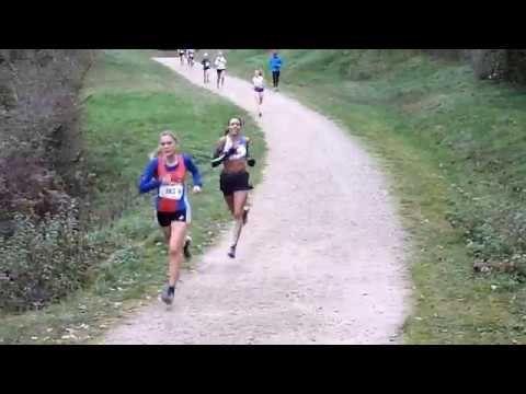 Fuchey cross Arnay le Duc  2019