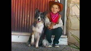 Pedigree Good Then Better Now (2026) | 100% Complete Nutrition Supporting Six Health Essentials