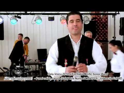 Gelu Voicu 2019 si Mirific Sonor Band - Pusei caii la caruta Colaj Live Nunta Ramnicu Sarat