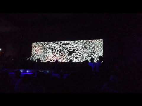 NEVERDOGS @ LA MECCA 09/02/2019 - 2