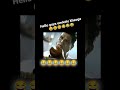 Fevicol Funny Ad