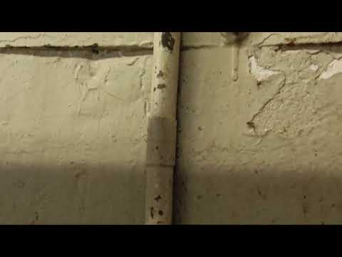 Boiler Room Taken Over by Cockroaches in Barnegat Light, NJ