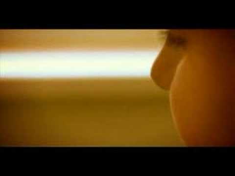 Street Dogs - Final Transmission