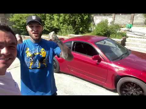 ALEX TERRIBLE GROWL AND CAR