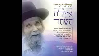 שלמה כהן-'וידום אהרן'-שיר לזכרו של מרן הרב שטיינמן זצוק"ל
