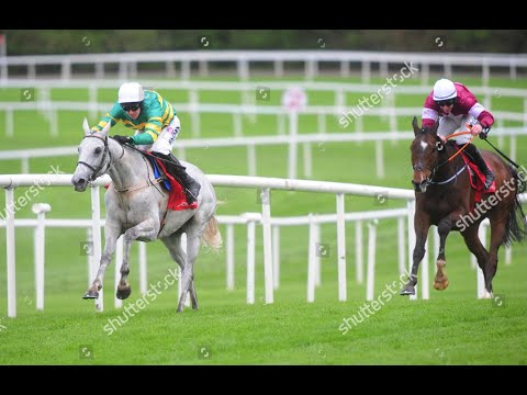 Elimay - 2019 Punchestown Festival 2m 4f Hurdle (Build Up, Race & Reaction)