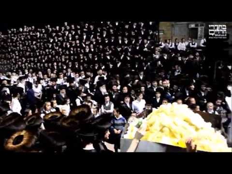 Lag Baomer 5777 With Rebbe Dushinsky