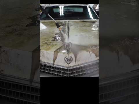 Abandoned Eldorado First Detail in 42 YEARS 🚘🧼 #BarnFind ##oddlysatisfying #Asmr #Cars #DetailDane