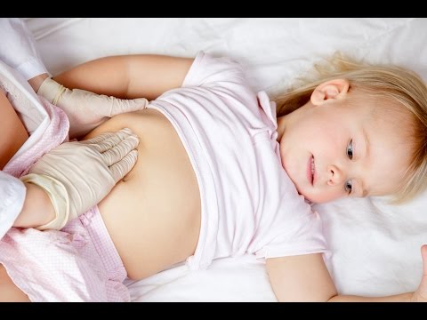 Estrazione video di parassiti da un organismo Vermi di nausea termici