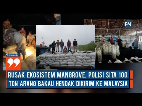 Rusak Ekosistem Mangrove, Polisi Sita 100 Ton Arang Bakau Hendak Dikirim ke Malaysia