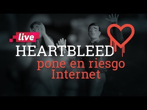 Bug Heartbleed. Como afecta tu sitio web