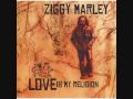 Ziggy Marley - Black Cat