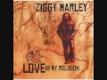 Ziggy Marley - Black Cat 
