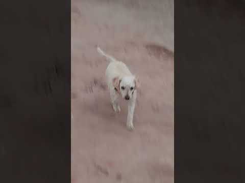 Beautiful Humahuaca, Jujuy province,  Argentina 🇦🇷 #travel #argentina