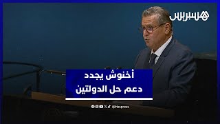 ‏القضية الفلسطينية.. أخنوش يجدد بنيويورك تأكيد دعم الممكلة لحل الدولتين thumbnail