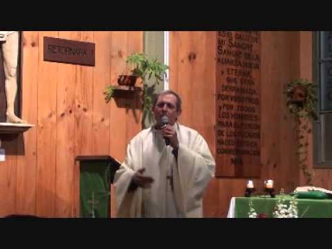 Homilía Domingo 4 de Agosto 2013