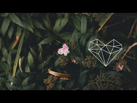 Squire - Papillon (Original Mix) [Melodic House / Einmusika Recordings]