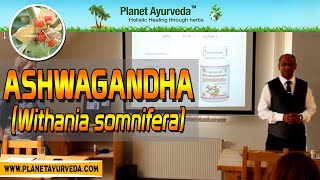 Ashwagandha (Withania somnifera)- Health Benefits, Properties & Uses | Ayur