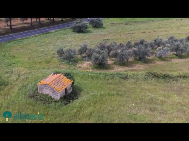 SCARLINO - TERRENO AGRICOLO E ANNESSO AGRICOLO