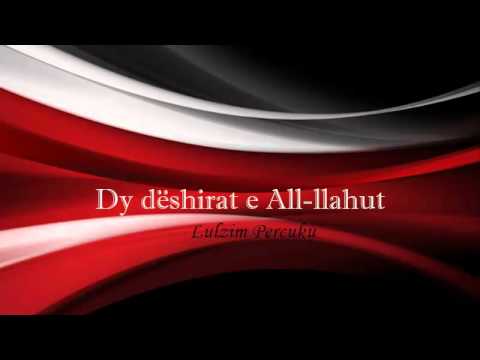 Dy dëshirat e All-llahut - Lulzim Percuku