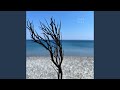 Vast Blue