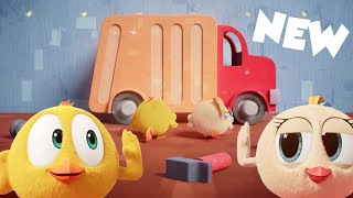 (NEW) Little Builders | Where's Chicky? | Cartoon Collection in English for Kids | New episodes