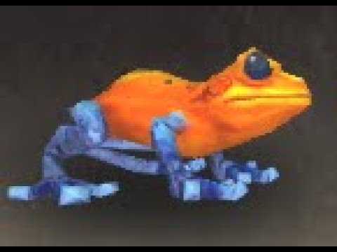 Northrend Safari: Biletoad Battle Pet, Sholazar Basin, WoW Retail