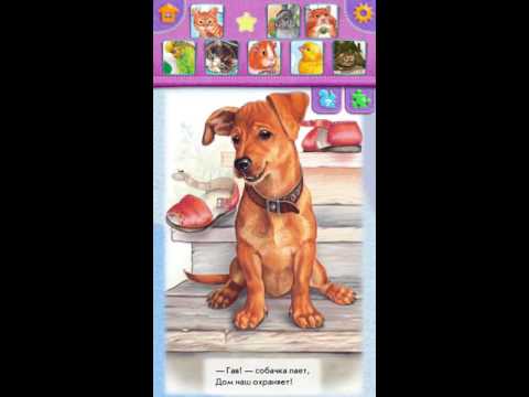 Animal Kingdom for kids! FULL Video