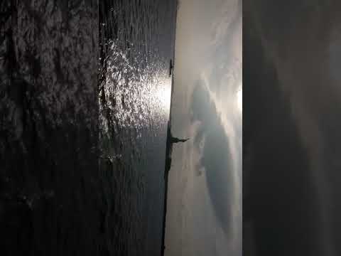 Statue of liberty New York