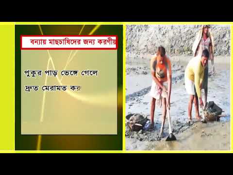 বন্যা মাছচাষীদের করণীয়