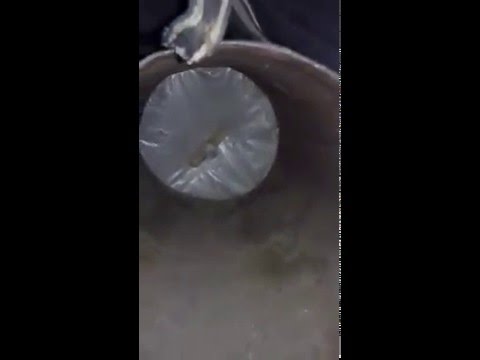 Plugusorul din Plopu, Gura-Calitei, Vrancea 2016