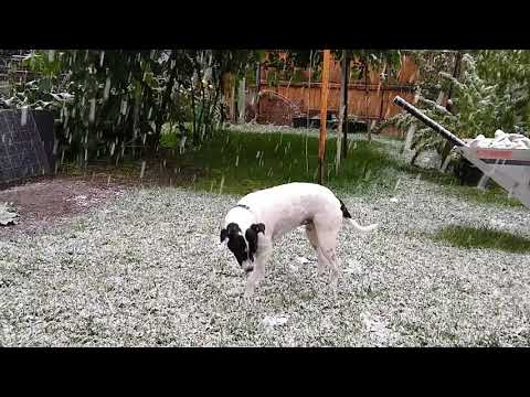 First snow of 2020 September 8