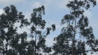 YAORROU ACIMA DE NÓS 