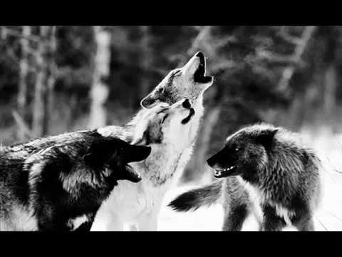 Ma.nada - No Soy Ciudadanx