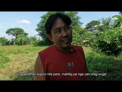 Magkapit- bahay Magkaaway