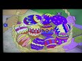 Dora The Explorer 11 Egg Prizes