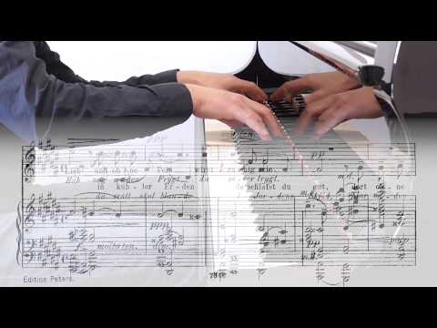 Edvard Grieg: 6 Lieder op. 48 - 02 - Dereinst, Gedanke mein