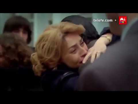 Mete queda en libertad - Mar de Amores