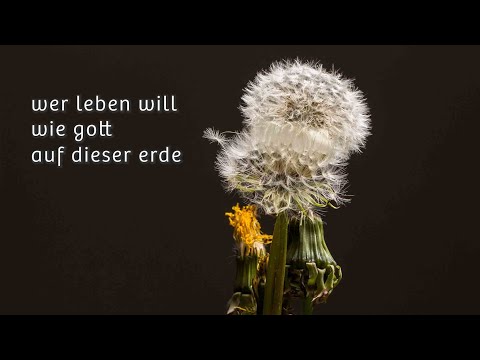 Wer leben will wie Gott auf dieser Erde – Lieder zum Mitsingen – Huub Oosterhuis